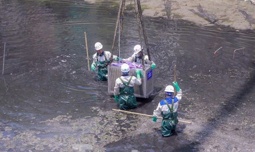 Nhật Bản tài trợ, Hà Nội bắt đầu làm sạch sông Tô Lịch