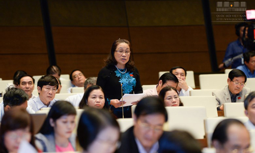 Túi tiền quốc gia và nhiệm kỳ Quốc hội