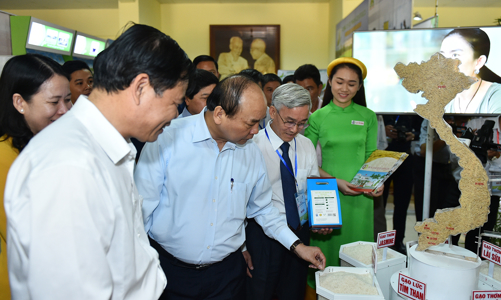 Thủ tướng: “Không chủ trương lấy đất lúa làm sân golf”