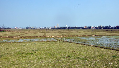 Chấm dứt tình trạng bỏ hoang đất nông nghiệp