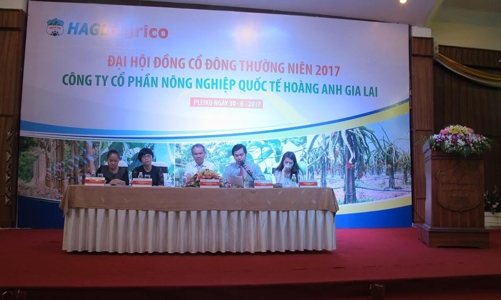 Cây ăn quả sẽ “cứu” HAGL Agrico?