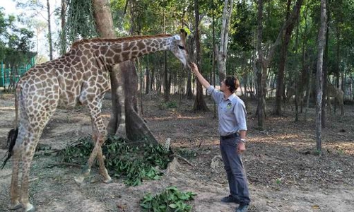 Vingroup: Thông tin “hàng ngàn động vật chết” sai sự thật