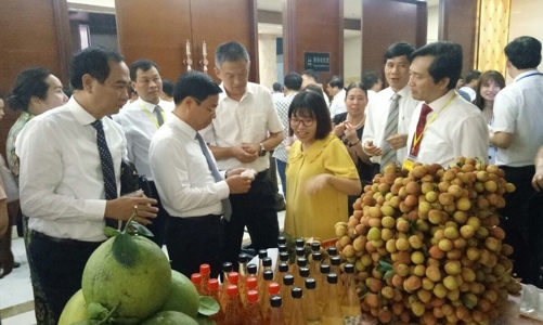 Lãnh đạo Bắc Giang sang Trung Quốc để xúc tiến tiêu thụ vải thiều