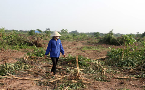 Chính phủ sẽ có hướng dẫn cụ thể về cưỡng chế, thu hồi đất