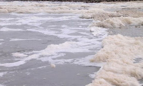 Vedan bồi thường người dân Đồng Nai 119 tỷ đồng