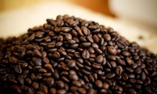 Xuất khẩu cà phê chờ tín hiệu thị trường