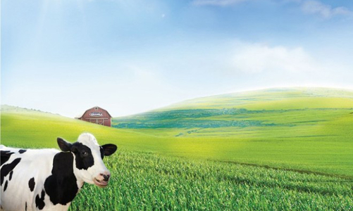 Đấu giá VNM, SCIC bị “ế” hơn 52 triệu cổ phiếu