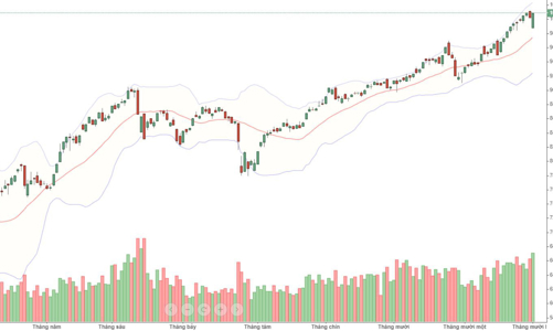 Chớm giảm, tiền vào sầm sập kéo thị trường tăng ngược