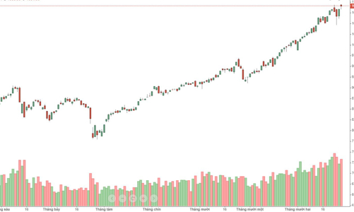 Chao đảo mạnh sát mốc 1.100 điểm, ATC kẹt lệnh