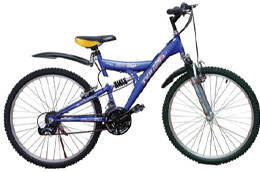 Xe đạp Thống Nhất: Thương hiệu sức sống 50 năm