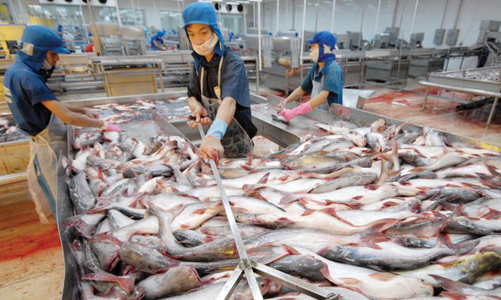 Chủ động ứng phó tình thế Trung Quốc siết nhập khẩu thuỷ sản do Covid-19