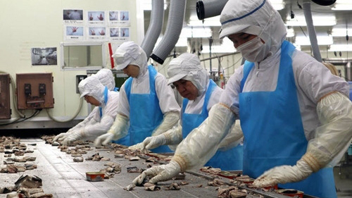 Đề nghị công an điều tra doanh nghiệp lừa đảo xuất khẩu lao động 