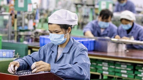 Hai doanh nghiệp bị phạt vì không minh bạch phí xuất khẩu lao động