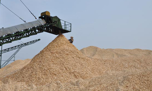 Việt Nam “vô địch” xuất khẩu dăm gỗ: Mừng hay lo?