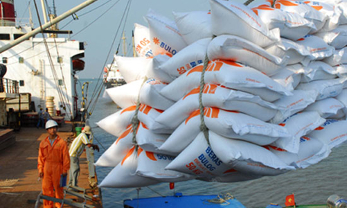 Kiến nghị hỗ trợ 100% lãi suất cho doanh nghiệp tạm trữ lúa gạo