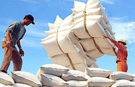 Bộ Công Thương: Giá lúa gạo tăng cao là do tin đồn 