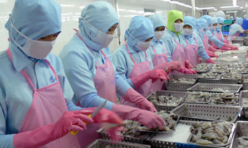 Xuất khẩu tôm và cơ hội sau khi thắng kiện