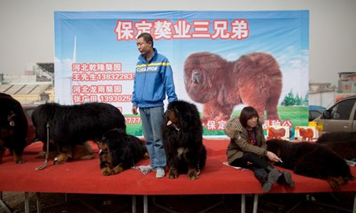 Ngao Tạng gặp hạn vì Trung Quốc chống tham nhũng