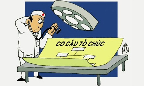 Tái cơ cấu ngân hàng “không chỉ màu hồng”