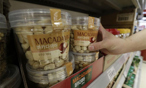 Hàn Quốc bùng nổ doanh số hạt mắc-ca sau vụ “công chúa hư”