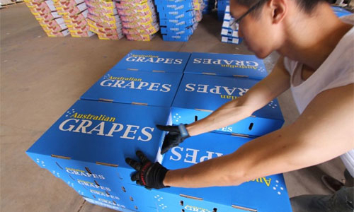 “Việt Nam đã dừng nhập hoàn toàn hoa quả từ Australia”