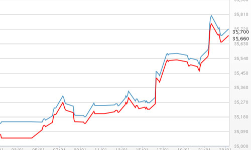 Giá USD tự do tăng liên tục, vàng SJC tăng nhẹ