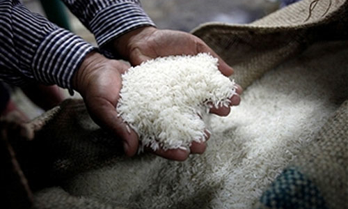 Chính sách lúa gạo của Thái Lan đã “phản đòn” thế nào?