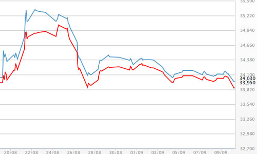 Giá vàng SJC chạm đáy 1 tháng, USD ổn định