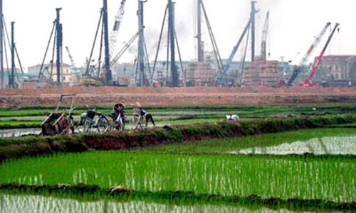 Chính phủ chi gần 500 tỷ đồng giữ đất lúa