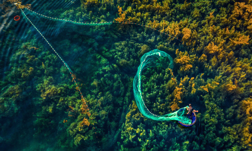 Cuộc thi và Triển lãm Ảnh nghệ thuật Việt Nam 2020