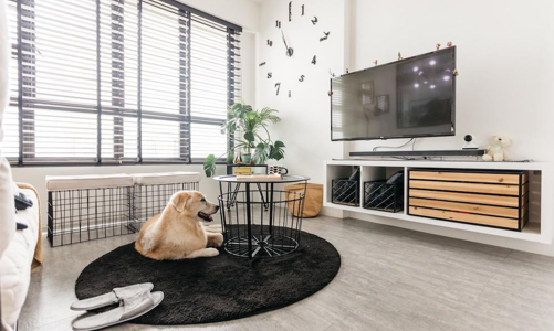 Căn hộ đen – trắng gọn gàng và mát mẻ