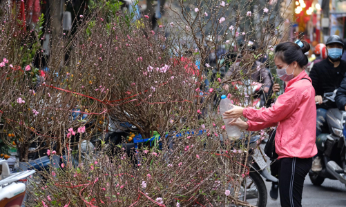 Hội chợ Tết Xuân Phố cổ 2021 sẽ bắt đầu vào cuối tuần này