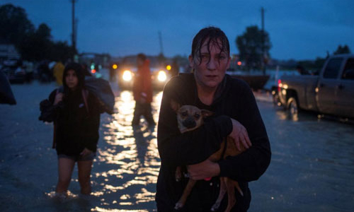 Kinh tế Mỹ có thể mất hàng chục tỷ USD vì siêu bão Harvey