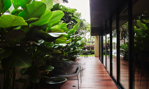 Nhà nghỉ cuối tuần nhiều cây