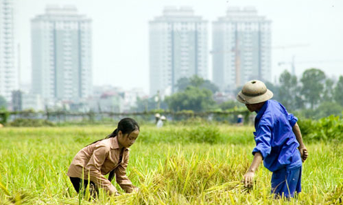 Gần 80% vụ khiếu nại đến từ lĩnh vực nhà đất