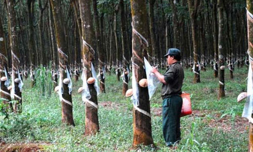 Đầu tư sang Lào, Campuchia trước những điều chỉnh chính sách