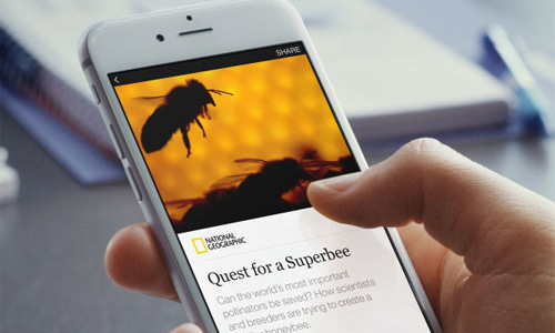 Báo chí đã có thể xuất bản trực tiếp trên Facebook