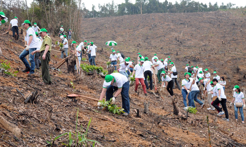 Honda tổ chức ngày hội trồng rừng năm thứ 2 tại Bắc Kạn