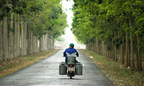 Lỗ từ mảng cao su, chuyện khó tin của HAGL