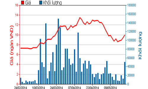 QCG muốn vay thêm 3.000 tỷ cho dự án bất động sản
