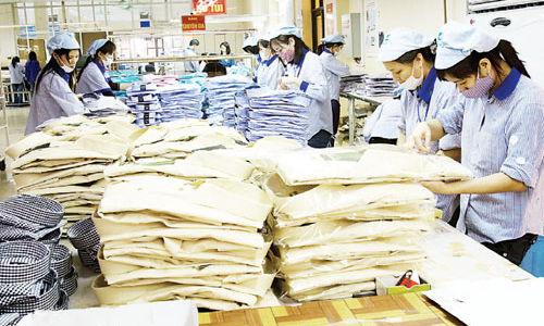 TPP, bông hồng có gai