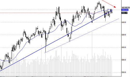 Blog chứng khoán: Có biểu hiện kiệt sức?