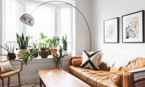 10 ý tưởng đưa cây vào trong nhà