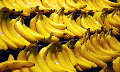 Chuối Philippines “sợ” chuối Việt Nam 