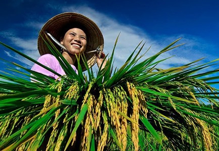 Ngộ ra với tín dụng nông nghiệp nông thôn…