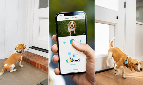Cửa thông minh cho nhà có thú cưng