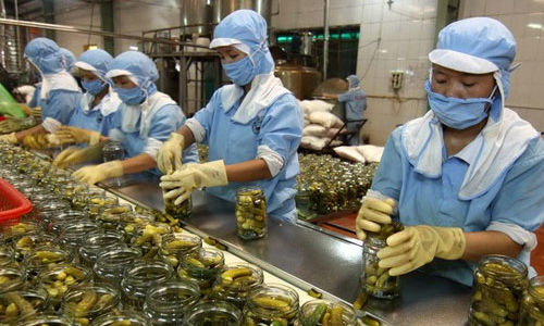 Khi tín dụng qua thời “Em mang tiền Chính phủ”