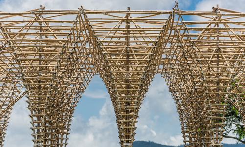 Macao: tiềm năng của tre trong kiến trúc sinh thái