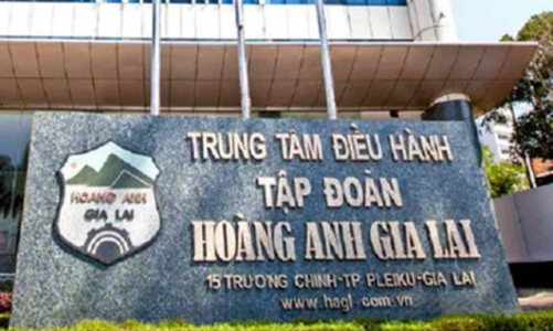 Kiểm toán nghi ngờ khả năng hoạt động liên tục của Hoàng Anh Gia Lai