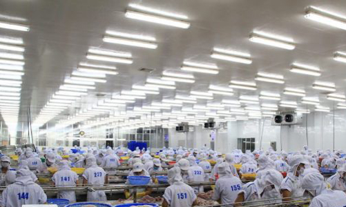 VASEP khuyến cáo Nhà nước không xây kho lạnh